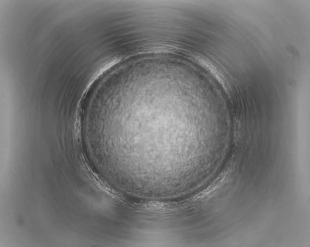 X0000116040827200911201343