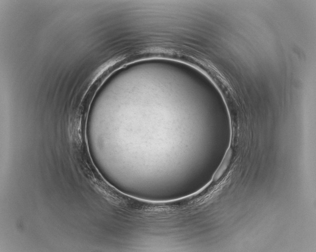 X0000116040830200911201343