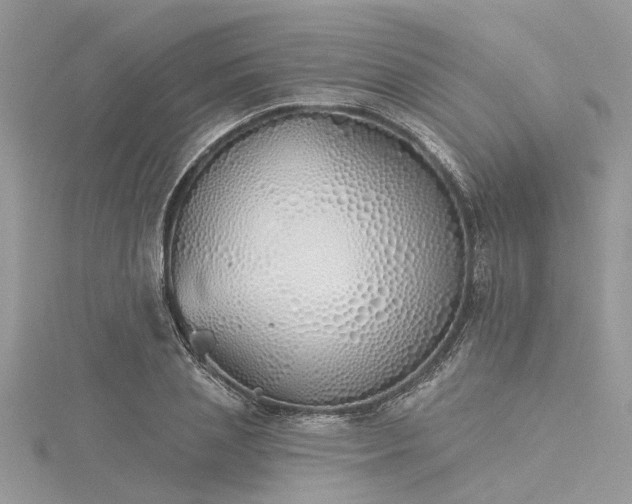 X0000116040837200911201343