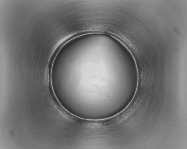 X0000116040838200911201343