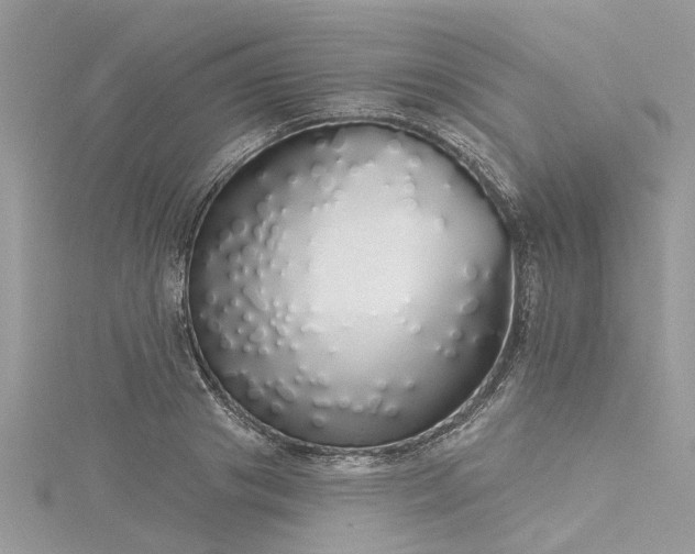 X0000116040841200911201343