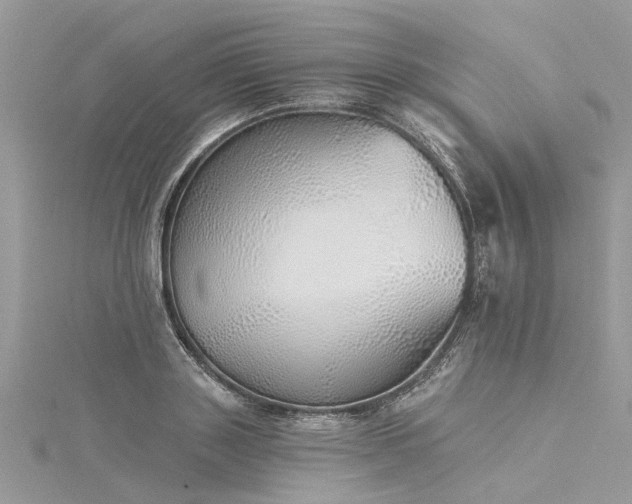 X0000116040843200911201343