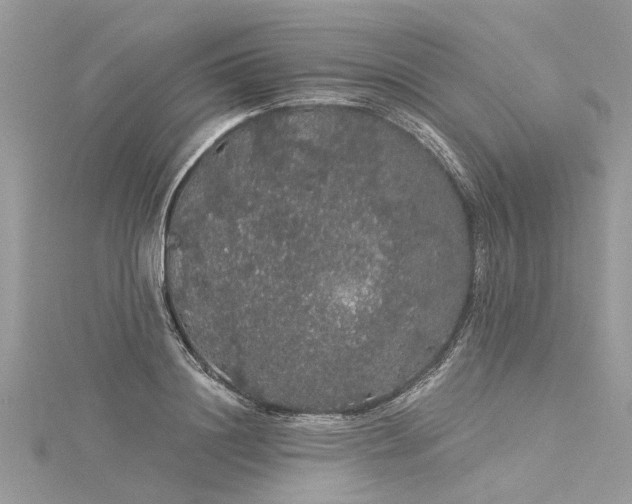 X0000116040844200911201343