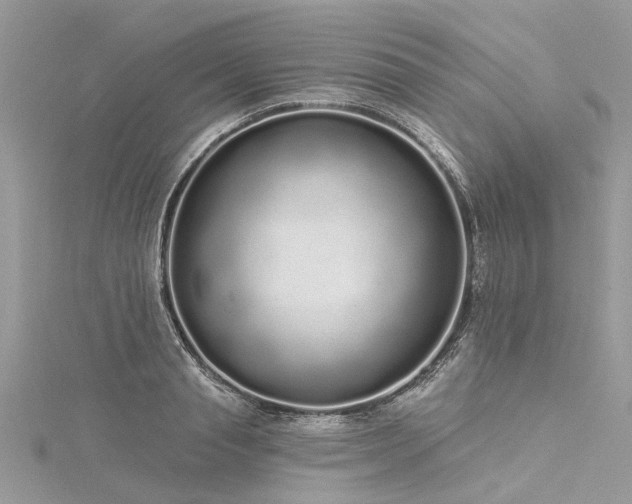 X0000116040845200911201343