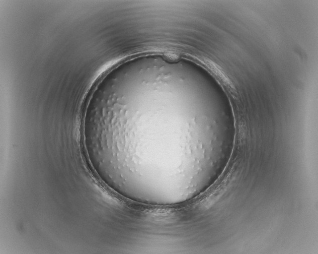 X0000116040846200911201343