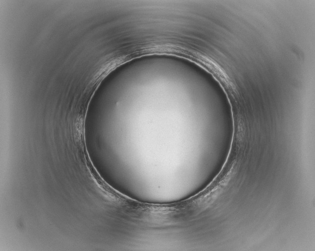 X0000116040849200911201343