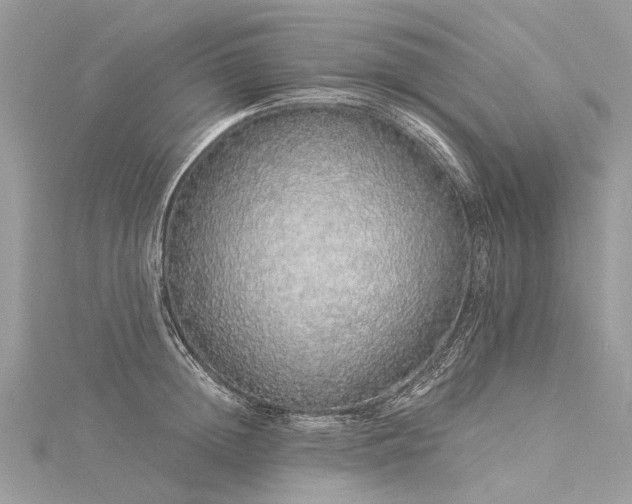 X0000116040852200911201343