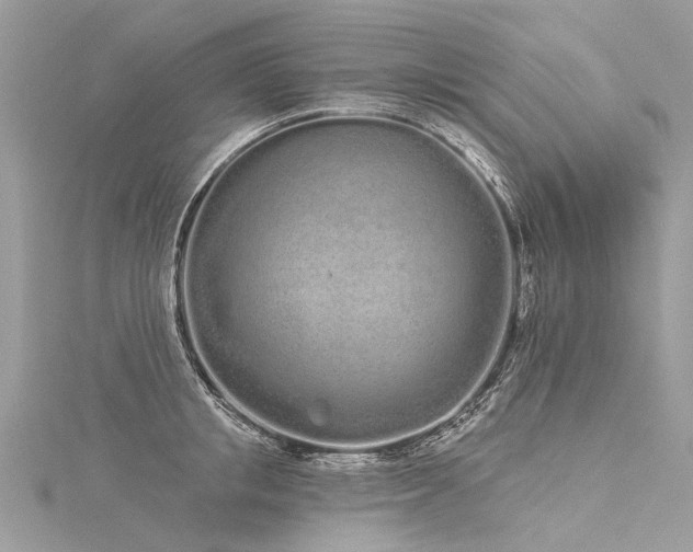 X0000116040853200911201343