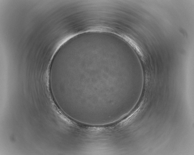 X0000116040854200911201343