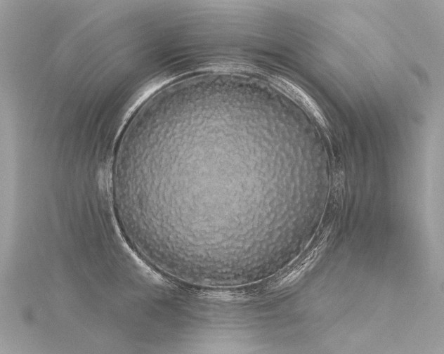 X0000116040855200911201343