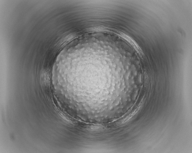 X0000116040857200911201343