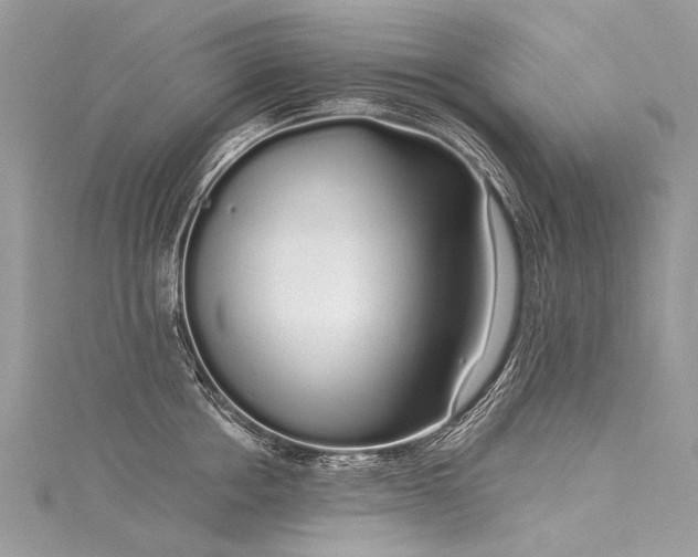X0000116040858200911201343