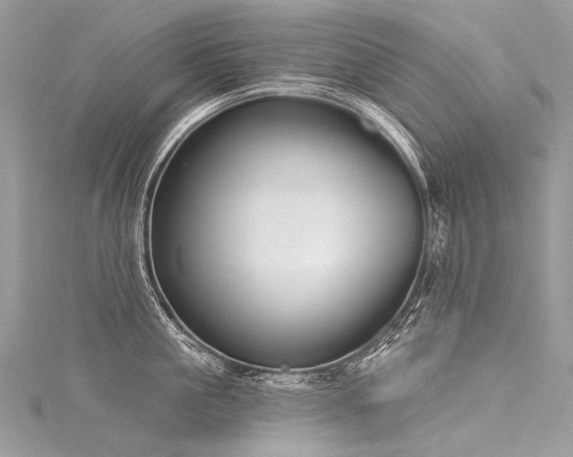 X0000116040861200911201343
