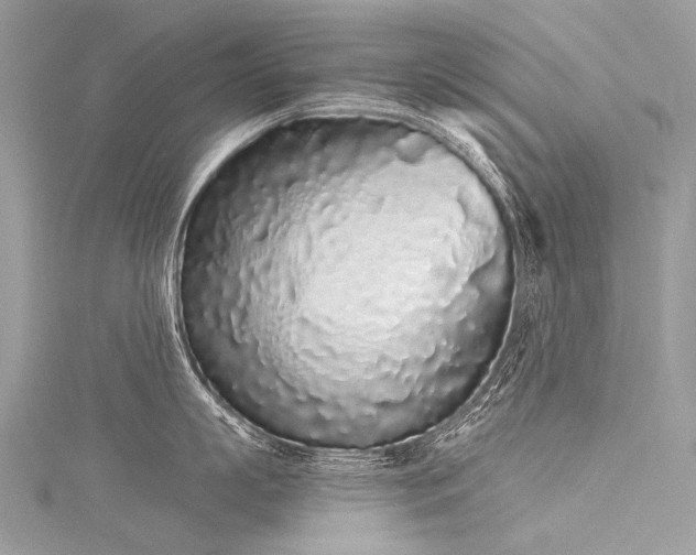 X0000116040863200911201343