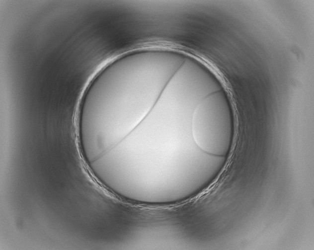 X0000116040864200911201343