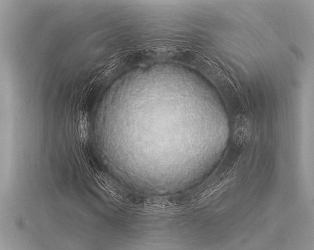 X0000116040866200911201343