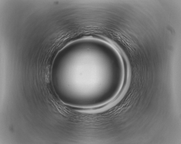 X0000116040868200911201343