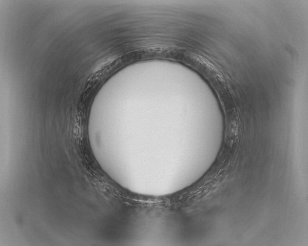 X0000116040869200911201343