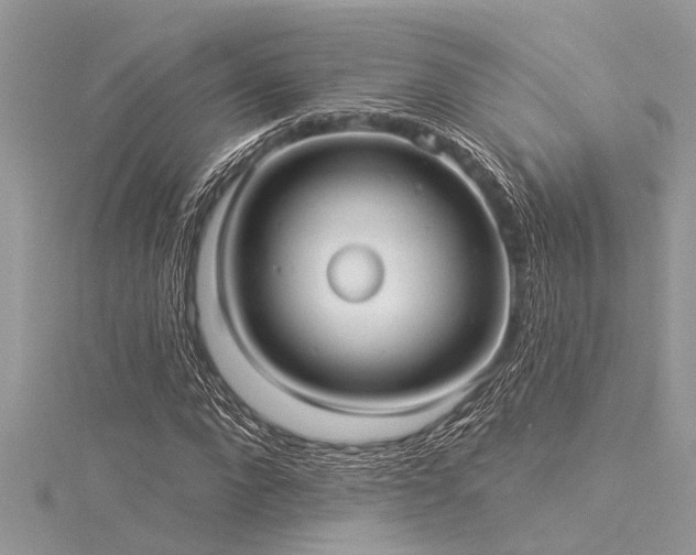 X0000116040872200911201343