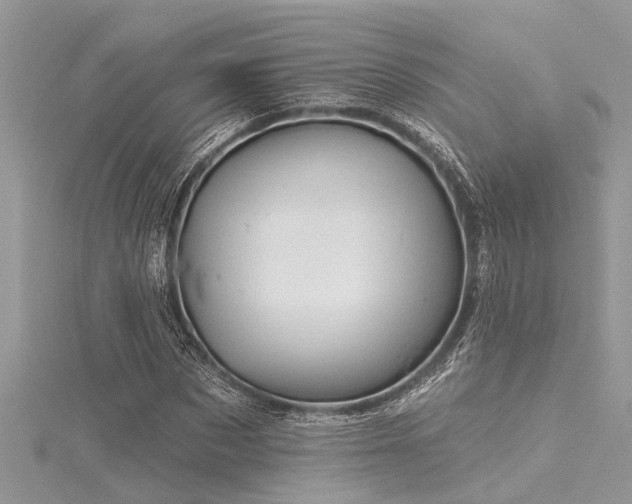 X0000116040873200911201343
