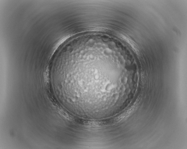 X0000116040875200911201343
