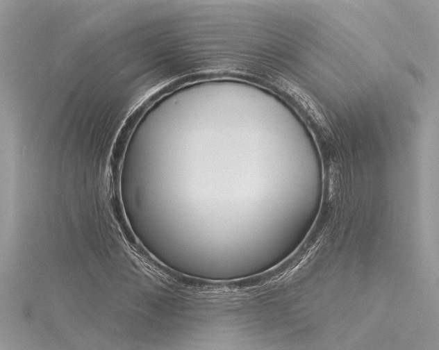 X0000116040876200911201343