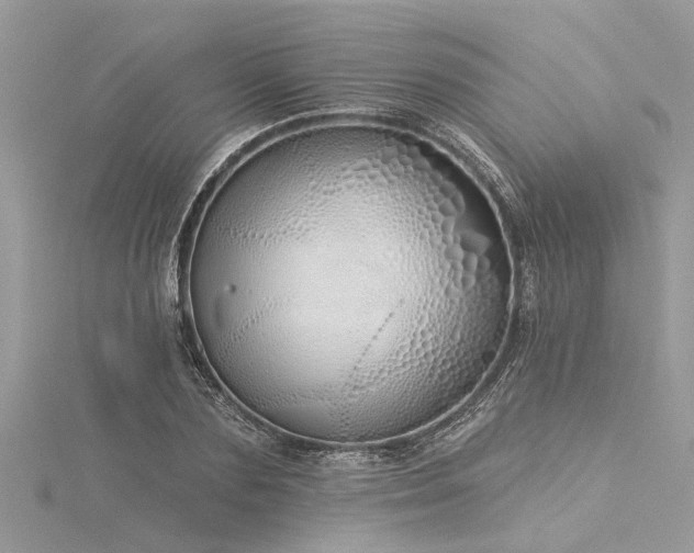 X0000116040883200911201342