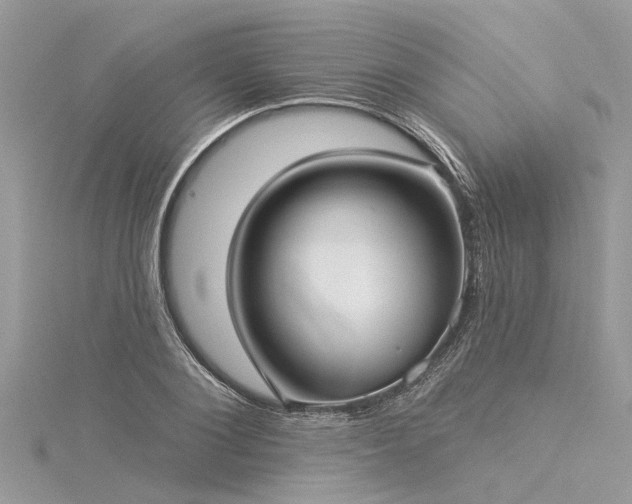 X0000116040884200911201342