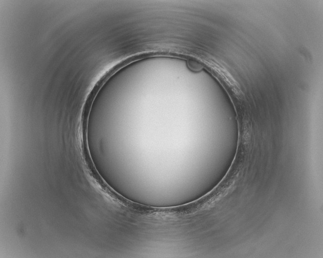 X0000116040888200911201342