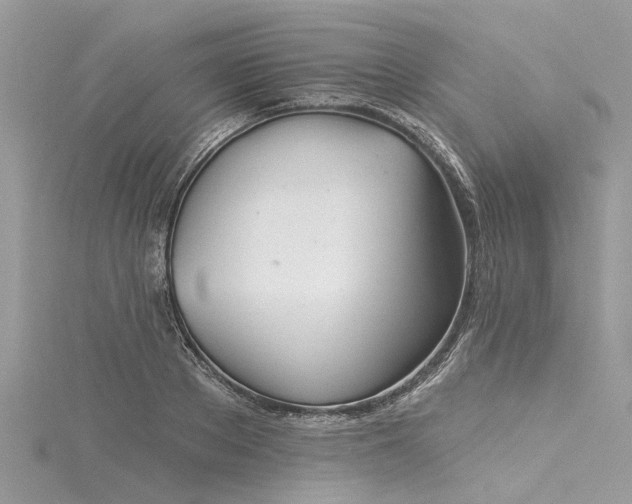 X0000116040889200911201342