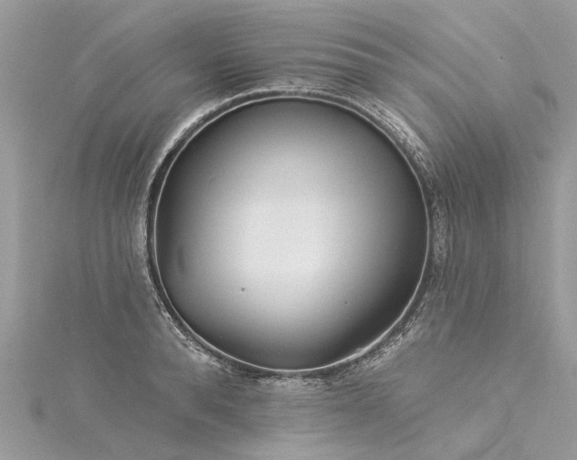 X0000116040896200911201342