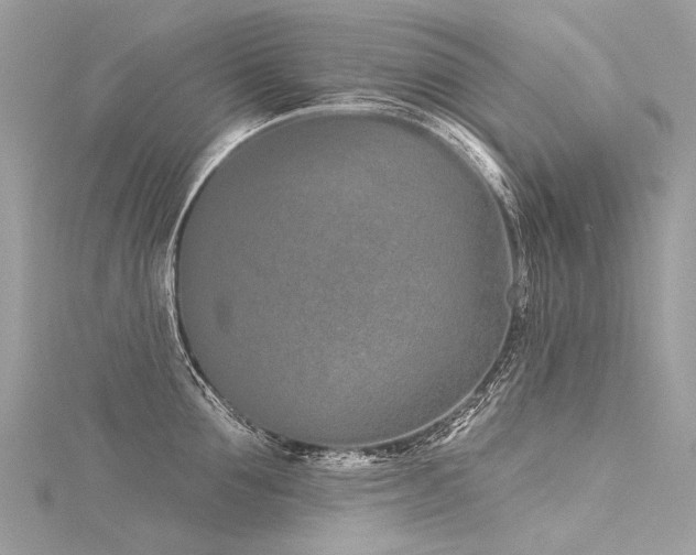 X0000116040907200911201342
