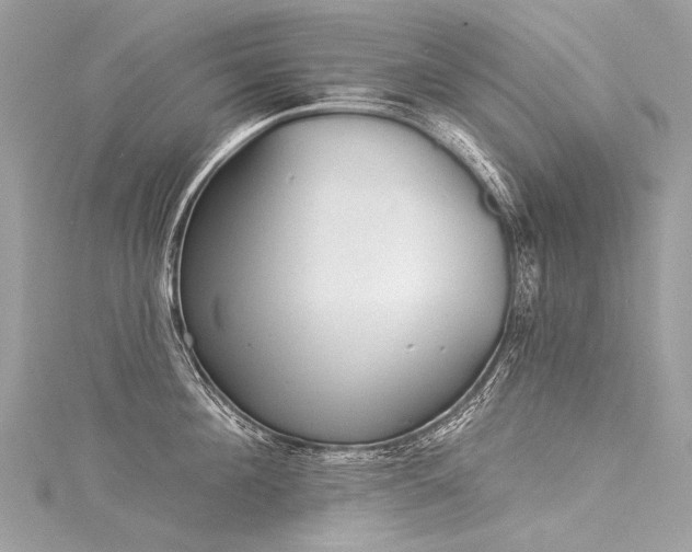 X0000116040908200911201342