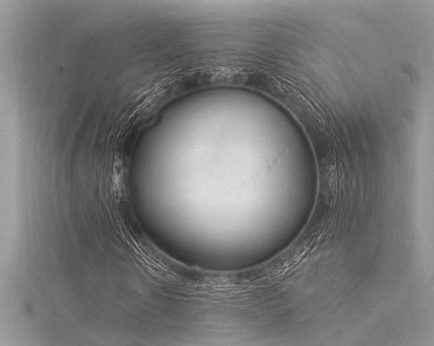 X0000116040914200911201341
