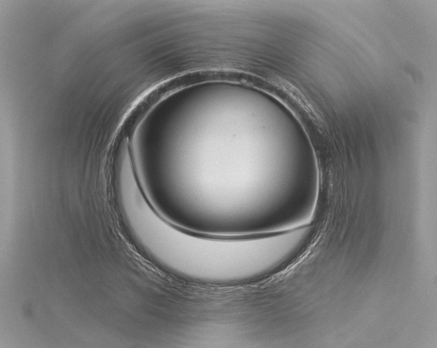 X0000116040926200911201341
