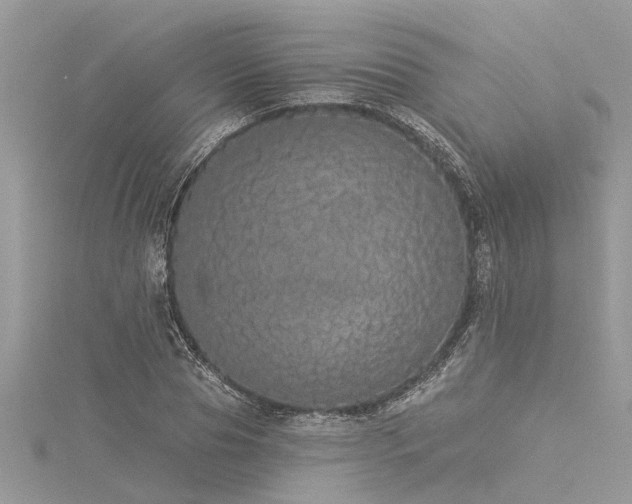 X0000116040929200911201341