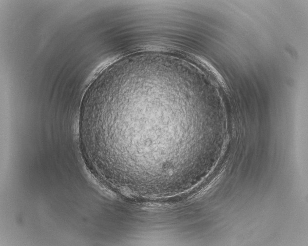 X0000116040938200911201342
