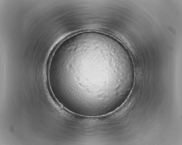 X0000116040939200911201342
