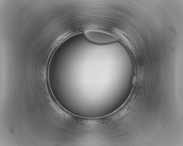 X0000116040946200911201342