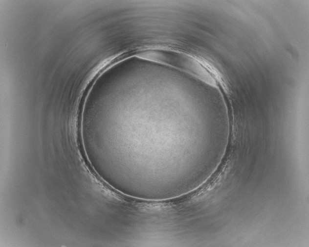 X0000116040949200911201342