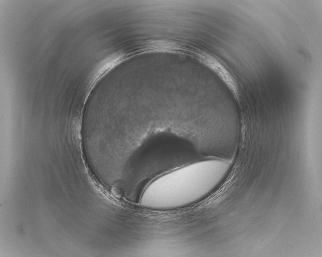 X0000116040954200911201342