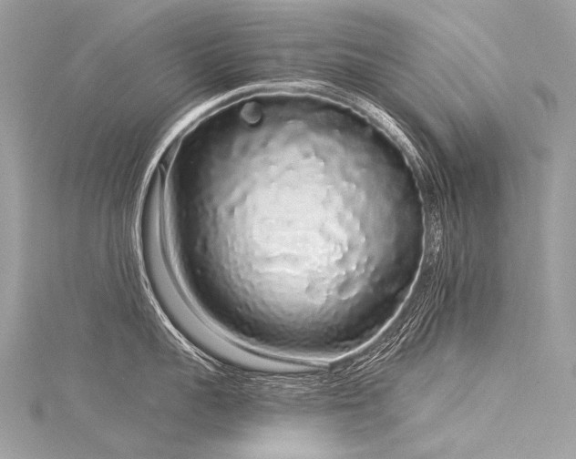 X0000116040959200911201342