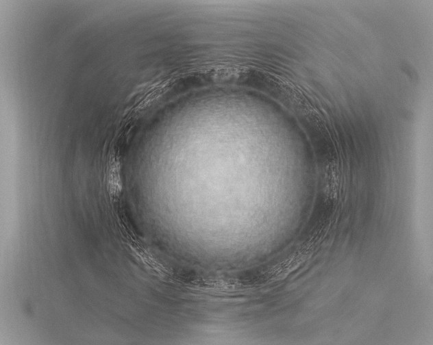 X0000116040962200911201341