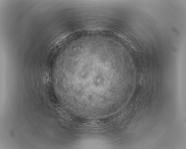 X0000116040966200911201341