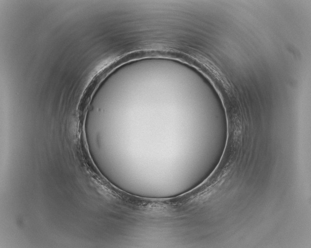 X0000116040974200911201341