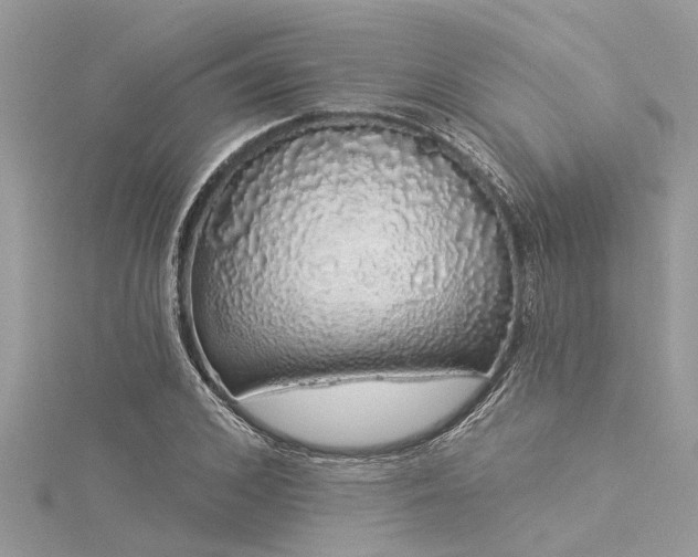 X0000116040976200911201341