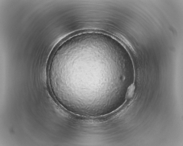 X0000116040980200911201341