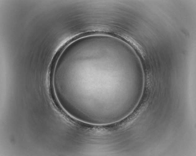 X0000116040983200911201341
