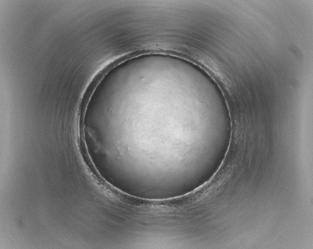 X0000116040984200911201341
