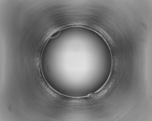 X0000116040985200911201341